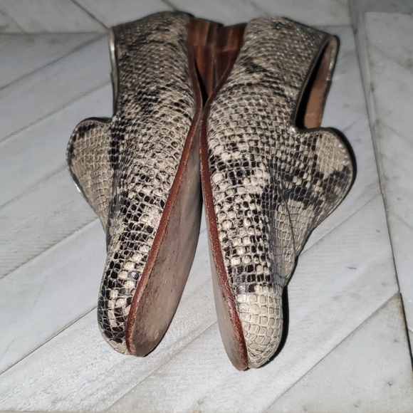 Coach Size 5.5 B Snakeskin Design - Picture 5 of 9
